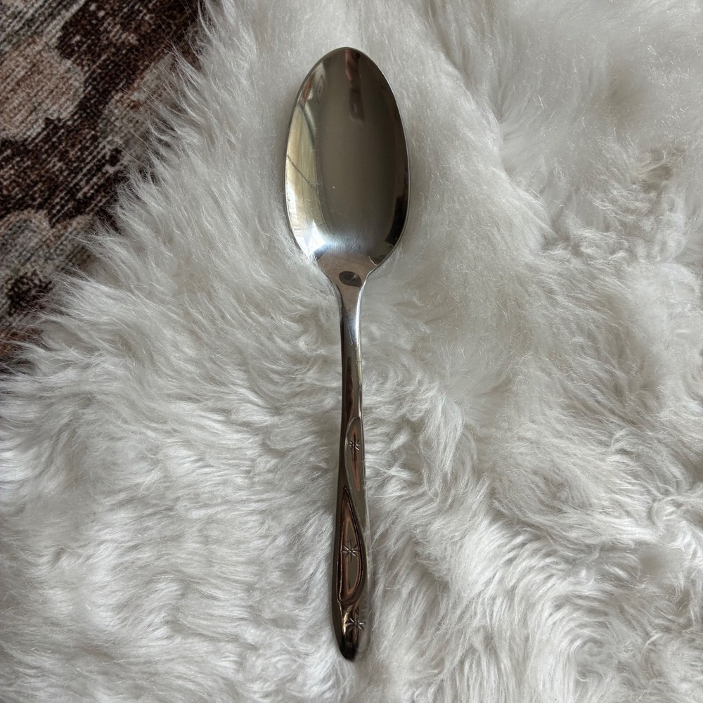 International Silver Americana Star Serving Spoon Vintage 1950s MCM Stainless
